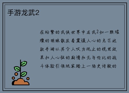 手游龙武2